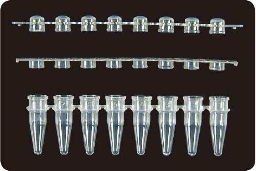 0.2ml 8-Strips PCRⓇ Tubes (PCR 8스트립 튜브_AX.PCR-0208- ) - 고려에이스 쇼핑몰