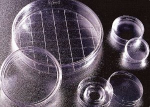 FalconⓇ Bacteriological Petri Dishes,Tight-fit Lid Dish (팔콘 페트리디쉬_FA.351006) - 고려에이스 쇼핑몰