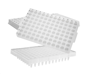 96-Well PCR Microplates (96 PCR 플레이트_AX.PCR-96-AB-C) - 고려에이스 쇼핑몰