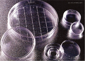 FalconⓇ Center-Well 60×15mm Cell Culture Dishes(셀컬처 디쉬_FA.353037) - 고려에이스 쇼핑몰